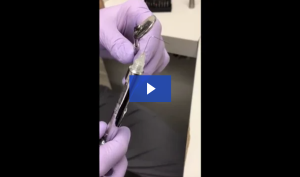 Crown Prep Procedure linked video.